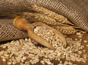 Rural scene with grains and ears of wheat on wooden background.