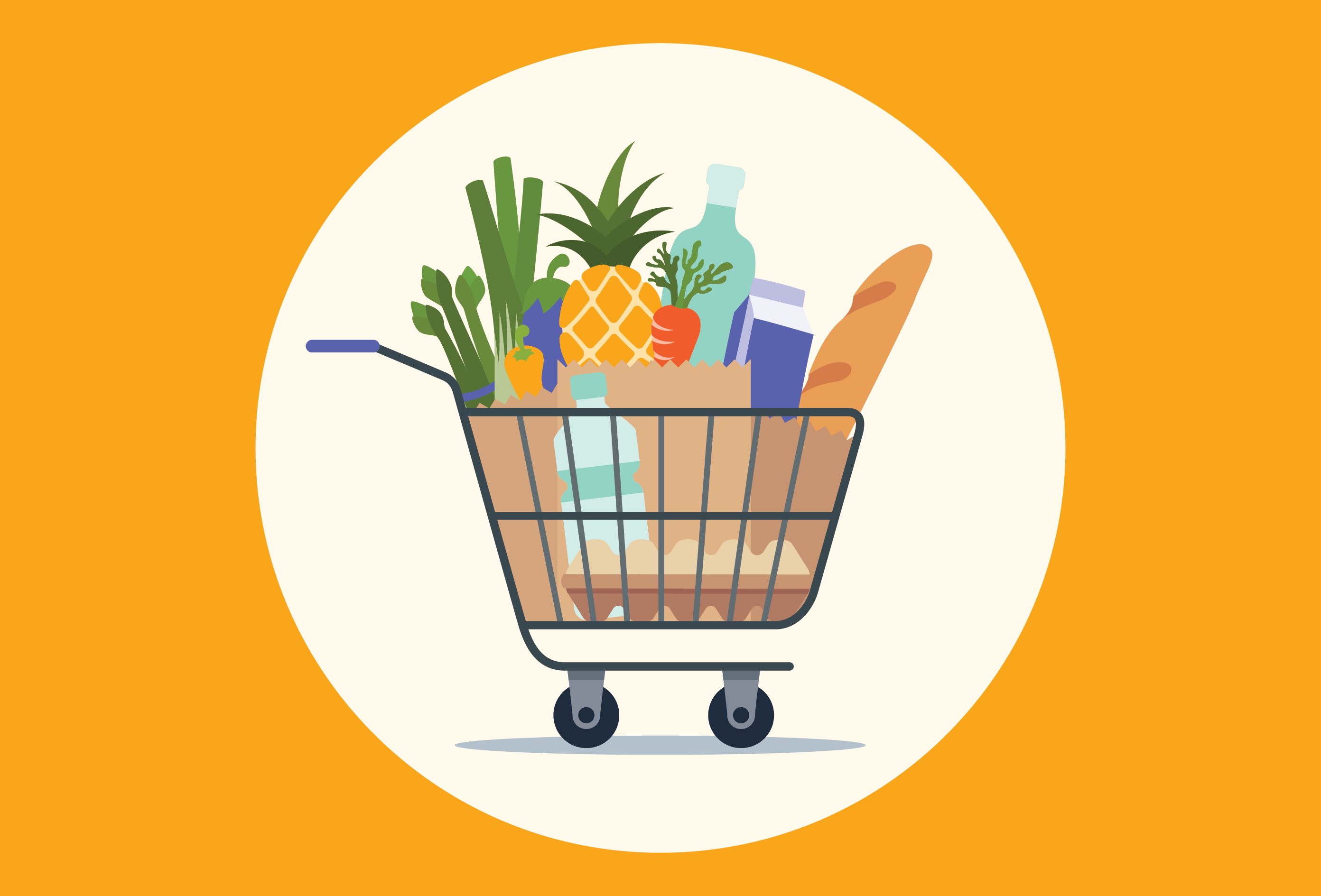 Grocery Shopping 101
