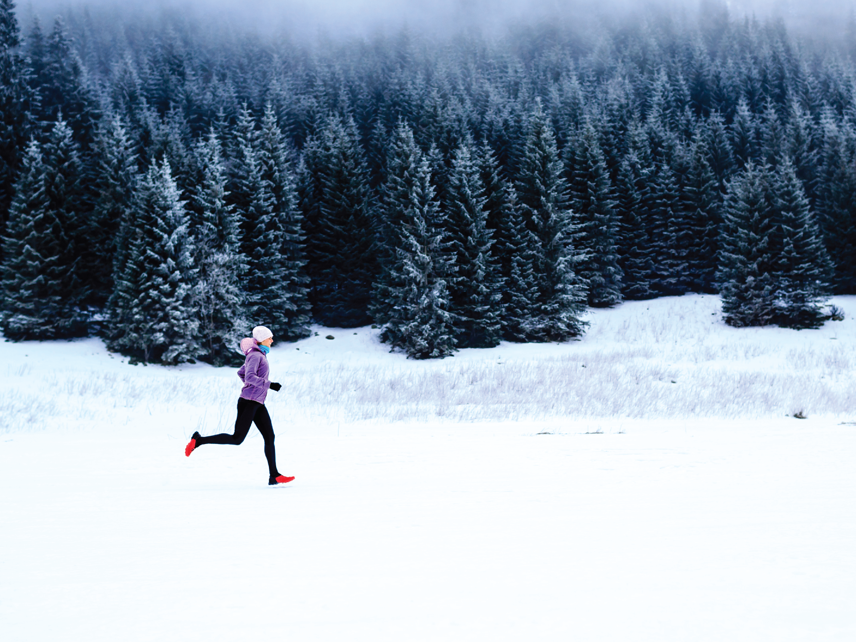 Wellness Webinar: Healthy Holiday Habits