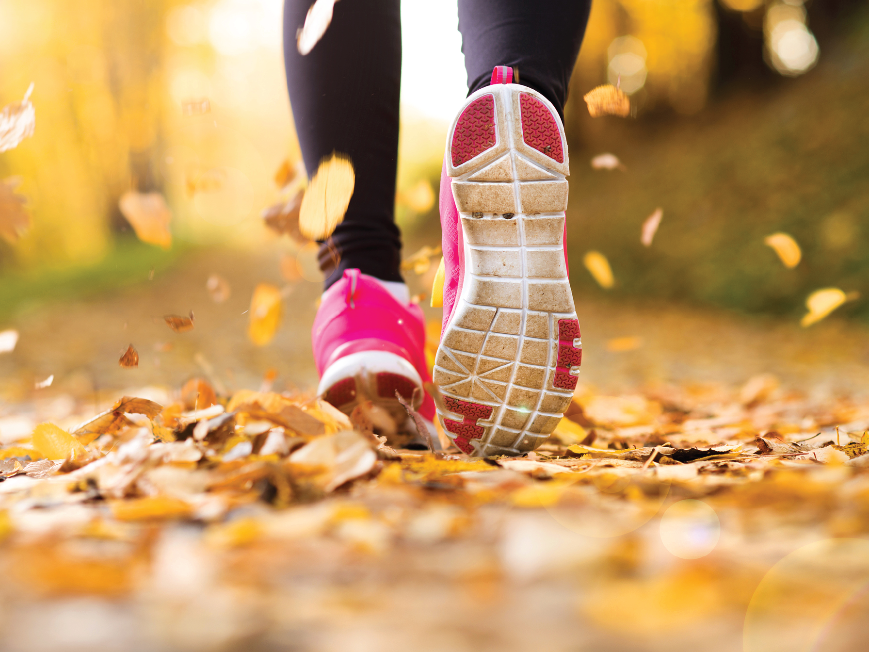 WebinarAds_Oct_Blog