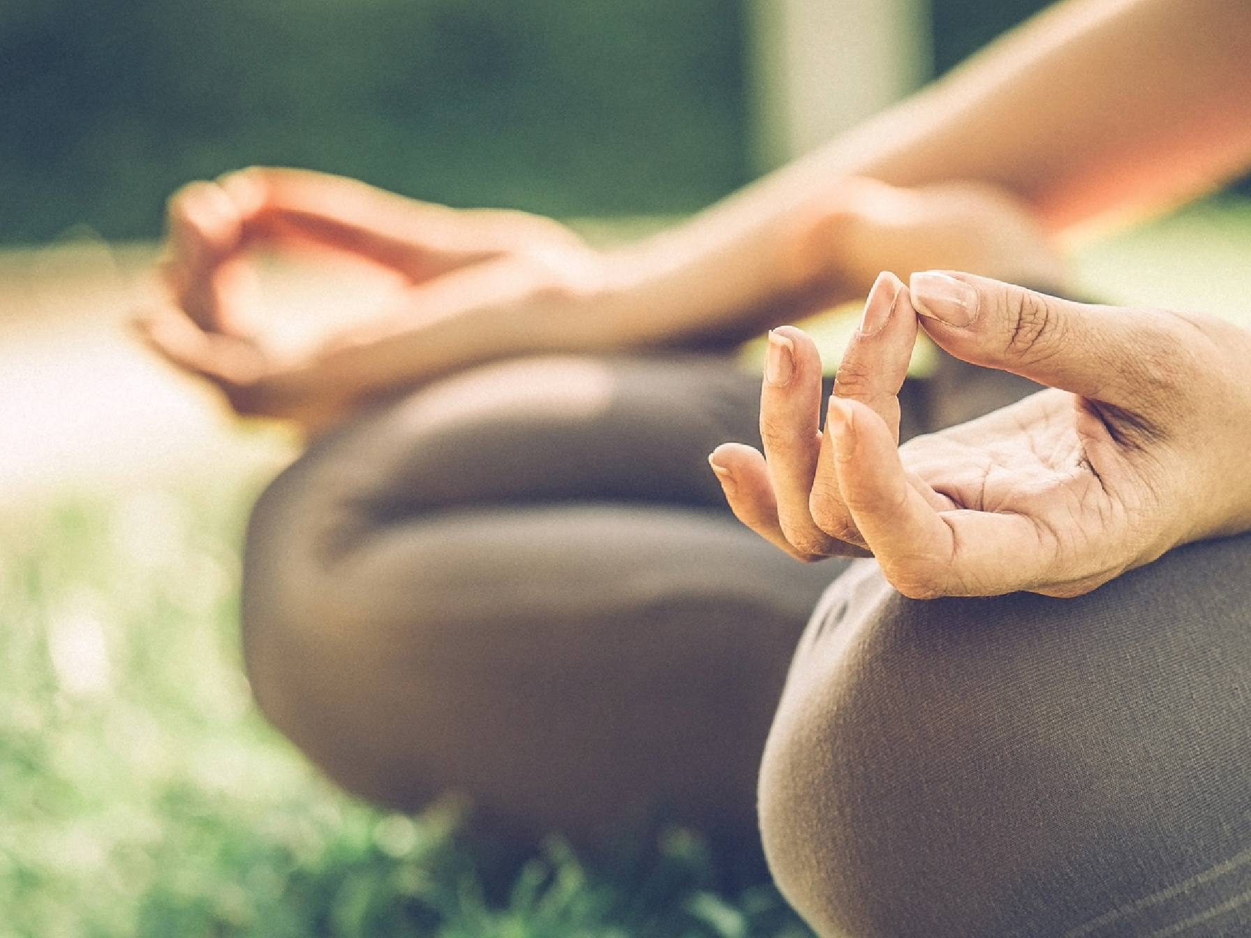 Free Wellness Webinar: Meditation 101
